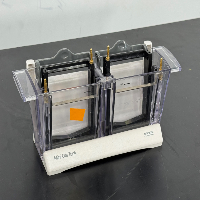Invitrogen Mini Gel Tank image 1